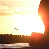 Winter Waddencursus