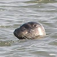 Winter Waddencursus