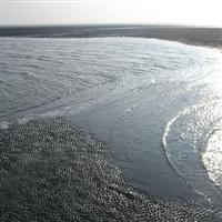 Les Waddenzee Eigen Schip ScheepsWijs