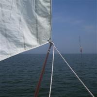 Slide Show Image
