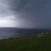 Praktijkcursus Meteorologie
ScheepsWijs