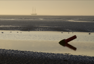 Fotowedstrijd Handboek Waddenzee 2015